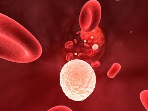 как повысить лейкоциты после химиотерапии