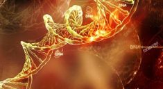 Получены новые данные о влиянии генных мутаций на возникновение рака