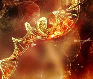 Получены новые данные о влиянии генных мутаций на возникновение рака